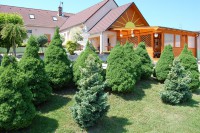 /album/zahradne-inspiracie-mdc5/pre-rastika-a-lucku-mdc5-2-jpg/